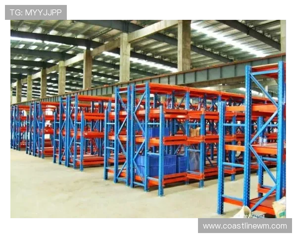 凯发娱网址是什么,帮助用户快速找到官方登录入口的实用指南