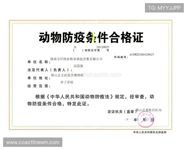 凯发网网站会员注册流程详解，确保每一步操作都清晰明了避免注册失败